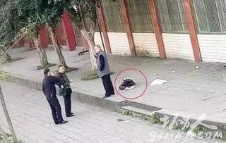 四川泸州太伏事件视频,真相与反思